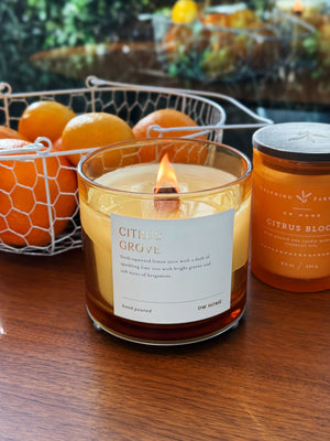 Citrus Grove Wooden Wick Candle