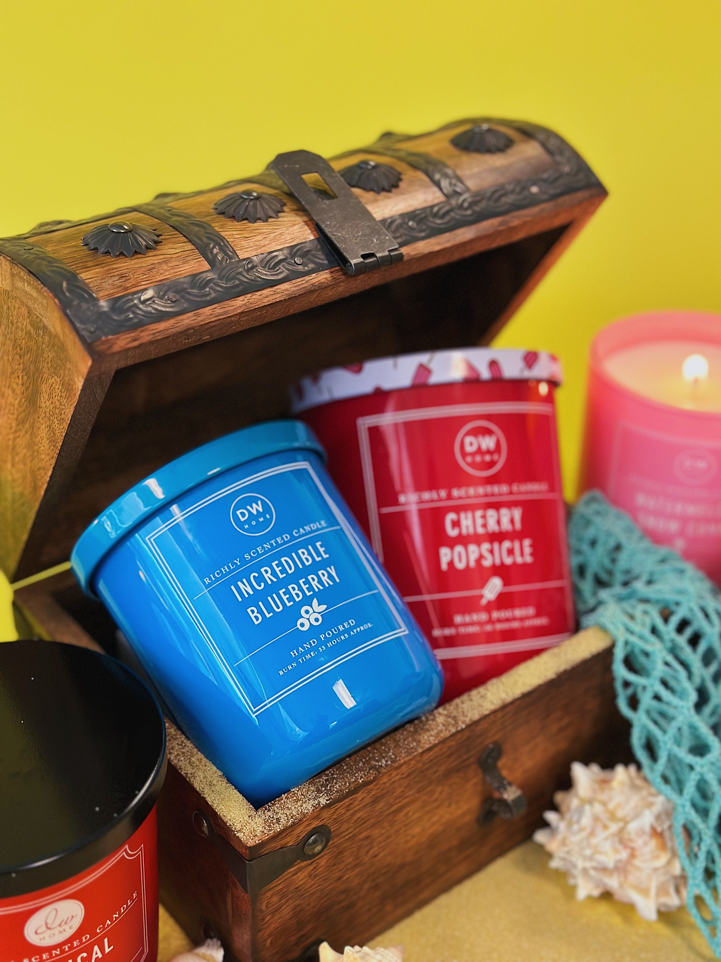 Incredible Blueberry - DW8235/DW8241/DW8247 – DW Home Candles