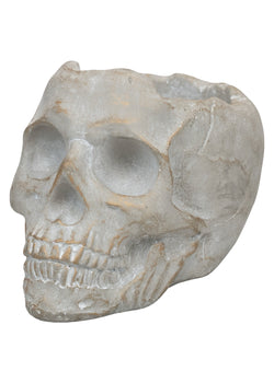 Golden Orchard | Cement Skull