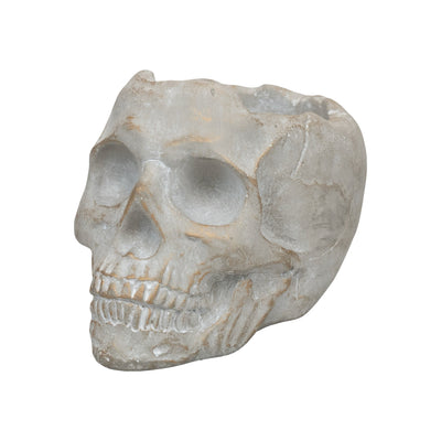Golden Orchard | Cement Skull