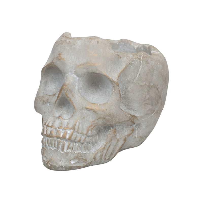 Golden Orchard | Cement Skull