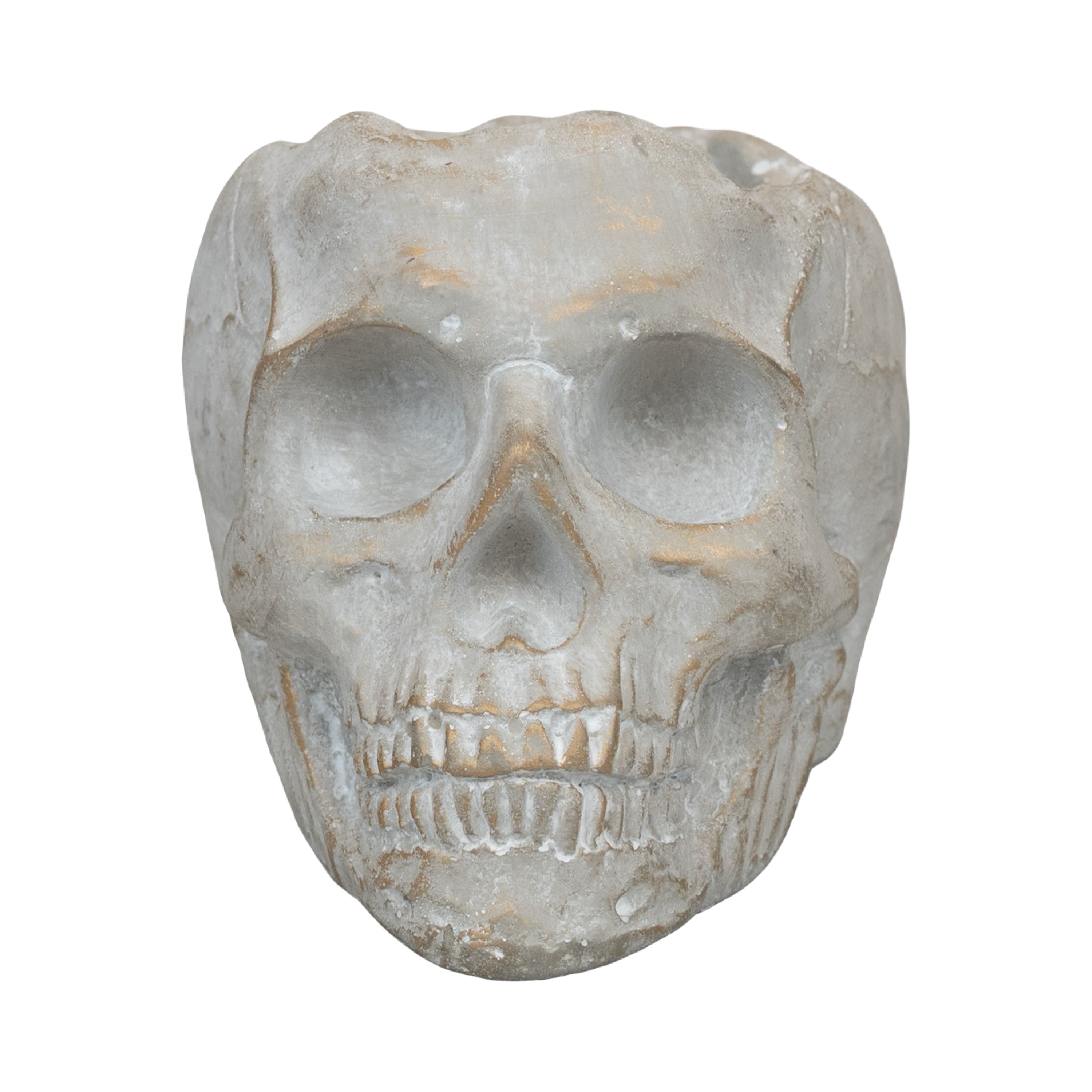 Golden Orchard | Cement Skull – DW Home Candles