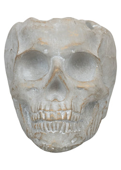 Golden Orchard | Cement Skull
