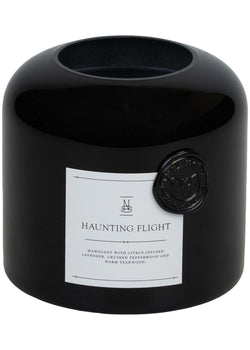 Haunting Flight