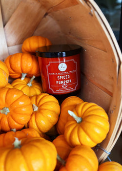 Spiced Pumpkin Candle Single Wick