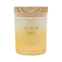 Lemon Tree