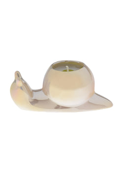 Lily of the Valley | Snail