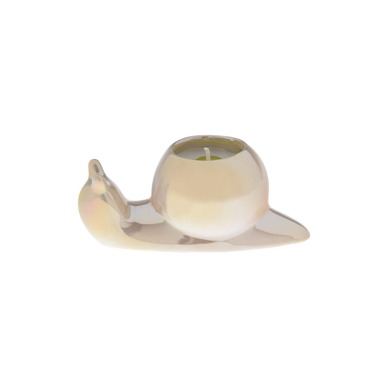 Lily of the Valley | Snail