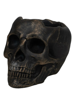 Mahogany Teak | Cement Skull