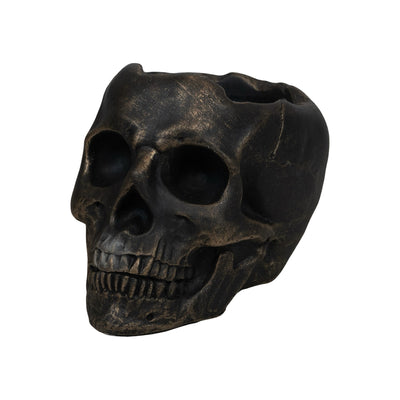 Mahogany Teak | Cement Skull