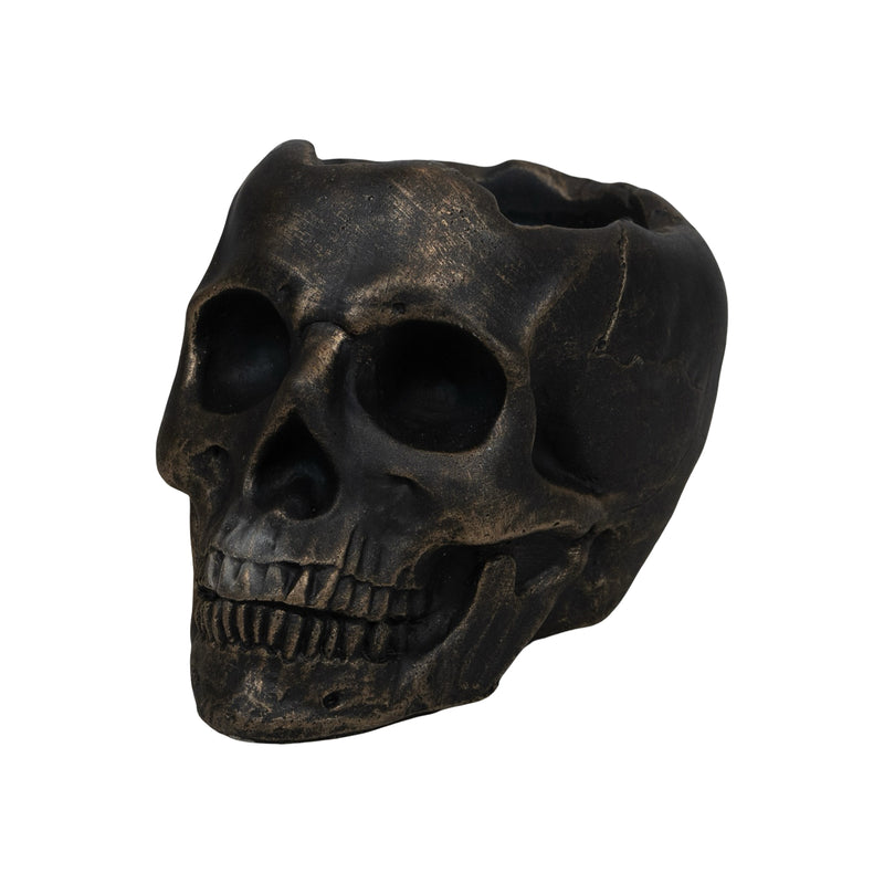 Mahogany Teak | Cement Skull