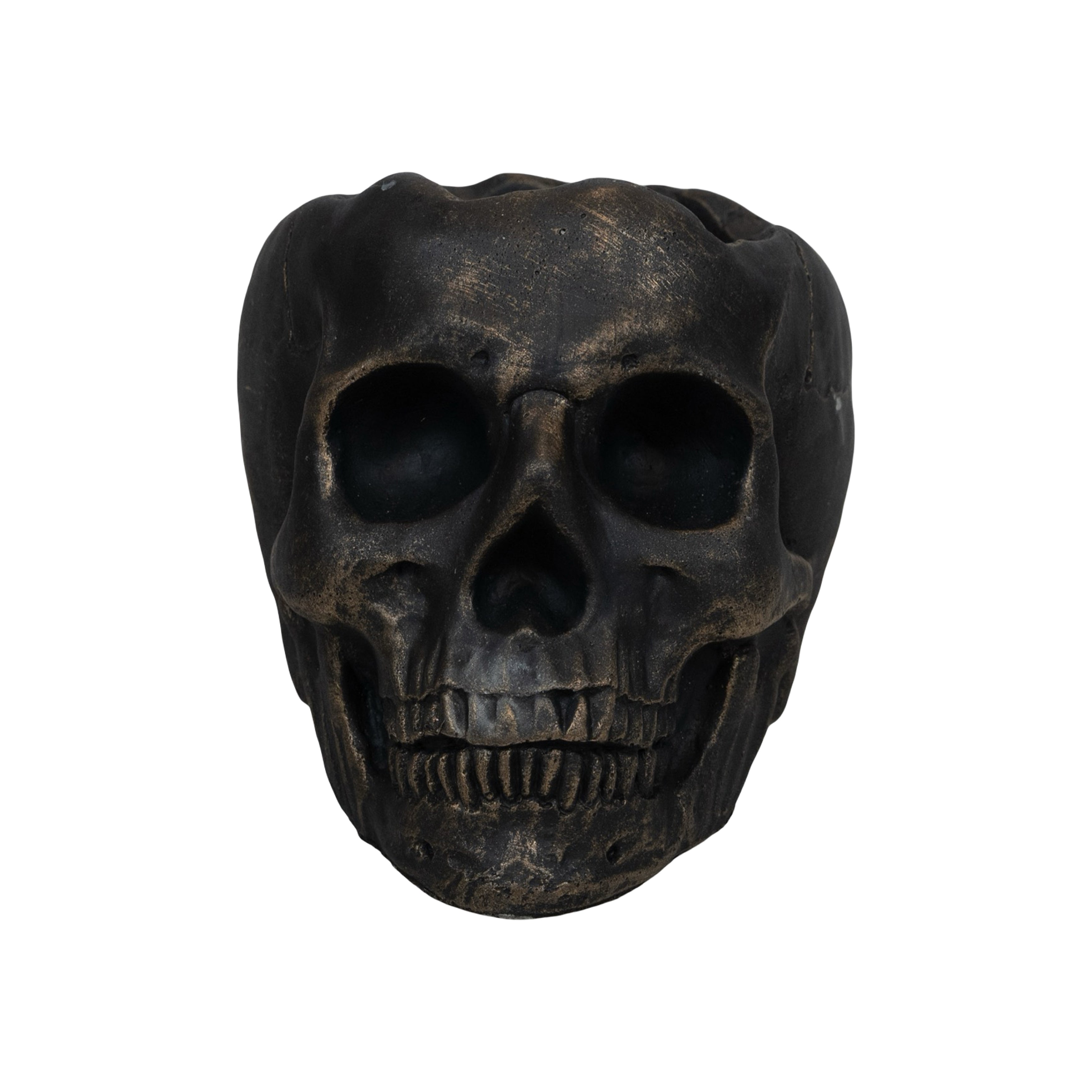 Mahogany Teak | Cement Skull – DW Home Candles