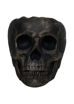 Mahogany Teak | Cement Skull