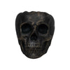 Mahogany Teak | Cement Skull thumbnail