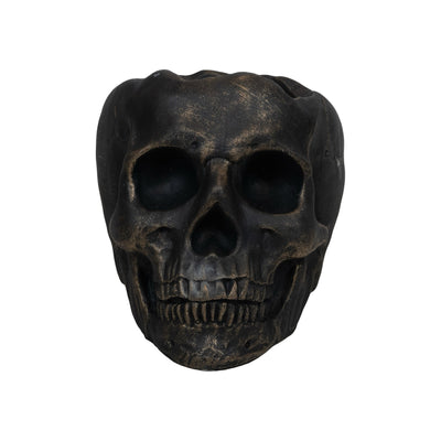 Mahogany Teak | Cement Skull