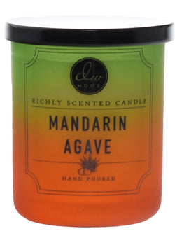 Mandarin Agave - Mini