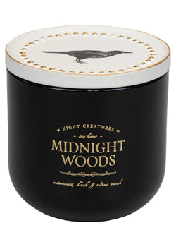 Midnight Woods