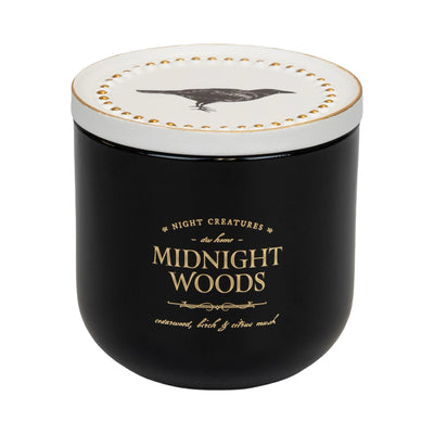 Midnight Woods