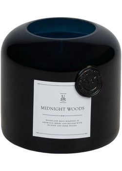 Midnight Woods