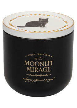 Moonlit Mirage