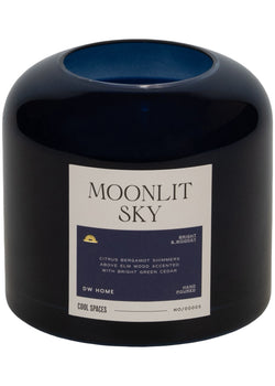 Moonlit Sky