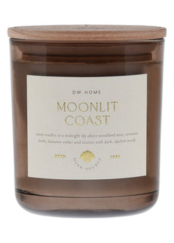 Moonlit Coast