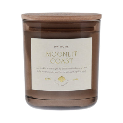 Moonlit Coast
