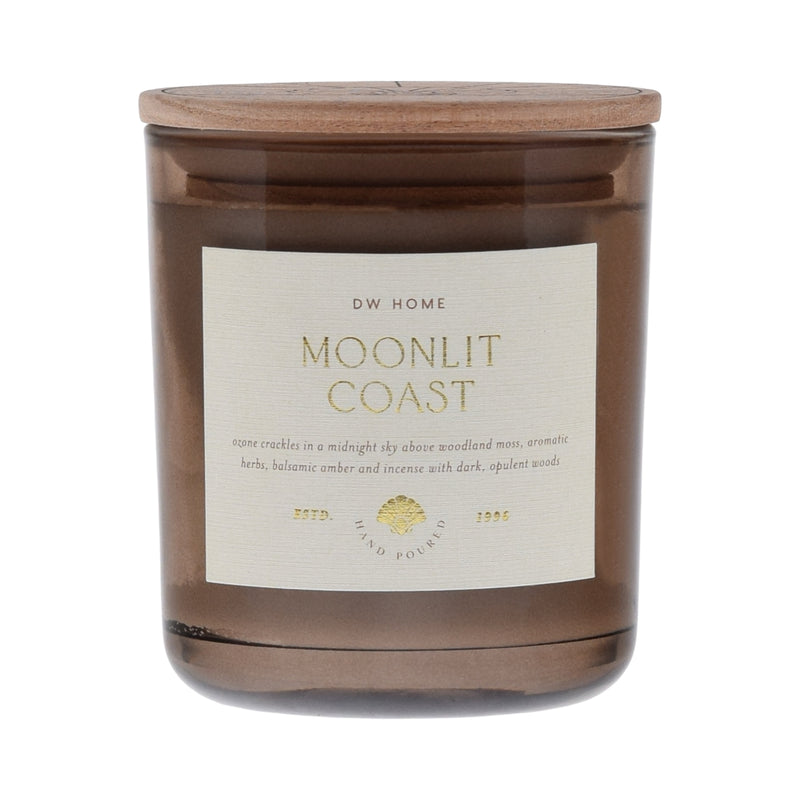 Moonlit Coast
