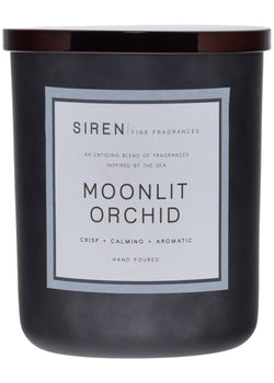 Moonlit Orchid