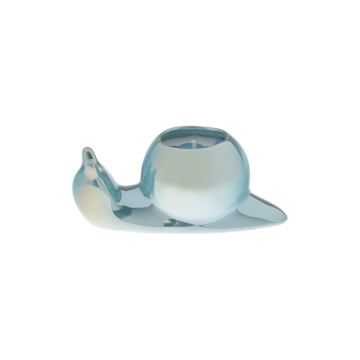 Morning Mist | Snail