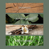 No. 16 Candle Infographic