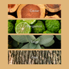 No. 49 Infographic thumbnail