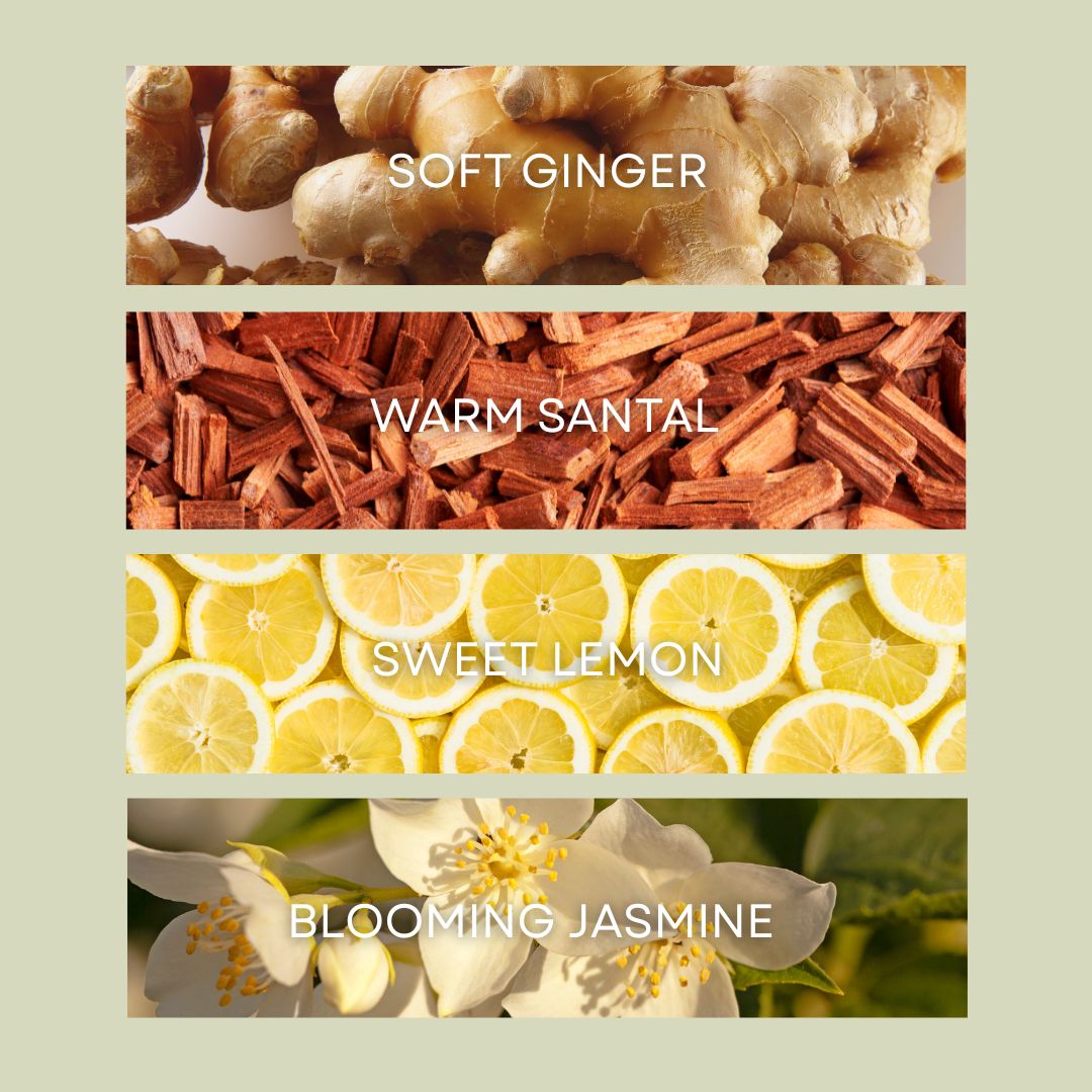 cocohime　DWE CD8枚 cocohime DWE CD8枚 cocohime DWE CD8枚 cocohime DWE CD8枚 cocohime