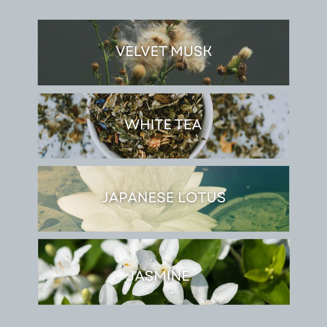 NEW! No. 09 | Hand Soap – DW Home Candles