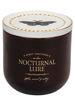 Nocturnal Lure