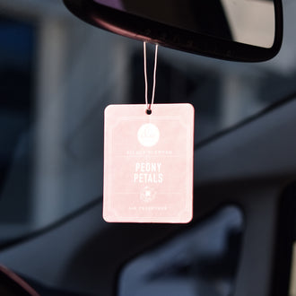 Air Freshener Bundle