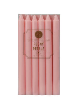 Peony Petals | Taper 6-Pack