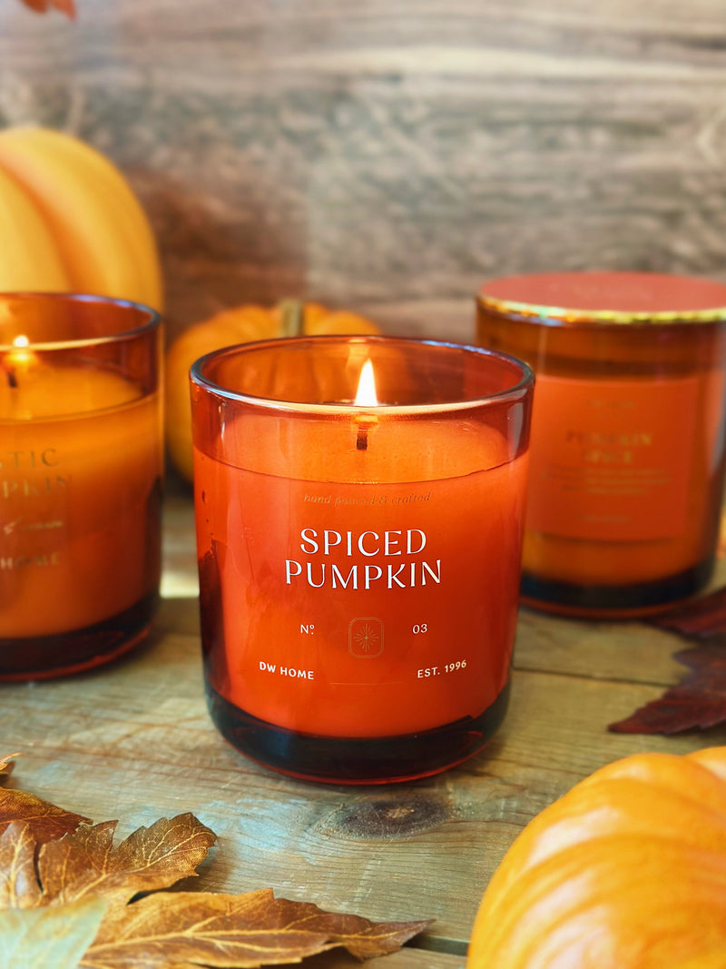  Spiced PumpkinSingle Wick Candle