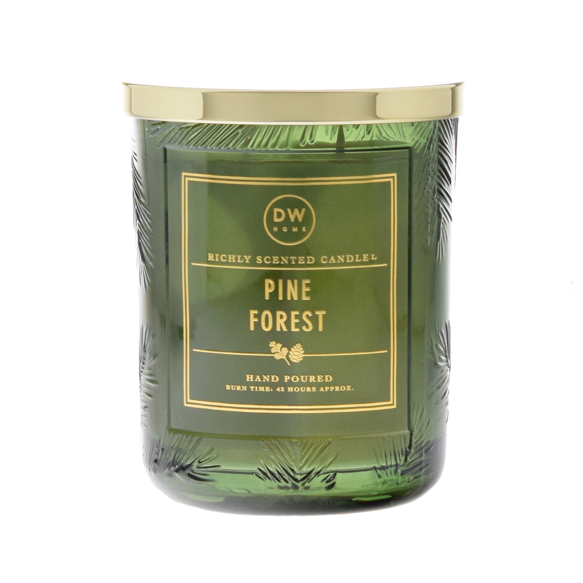 Pine Forest