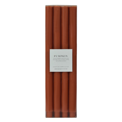 Pumpkin | Taper 4-Pack