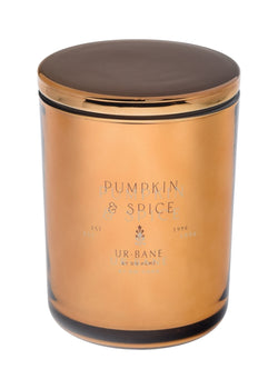Pumpkin & Spice