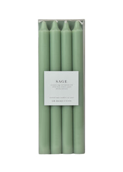 Sage | Taper 4-Pack