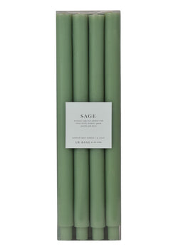 Sage | Taper 4-Pack