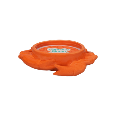 Saltwater Bloom | Crab Ceramic