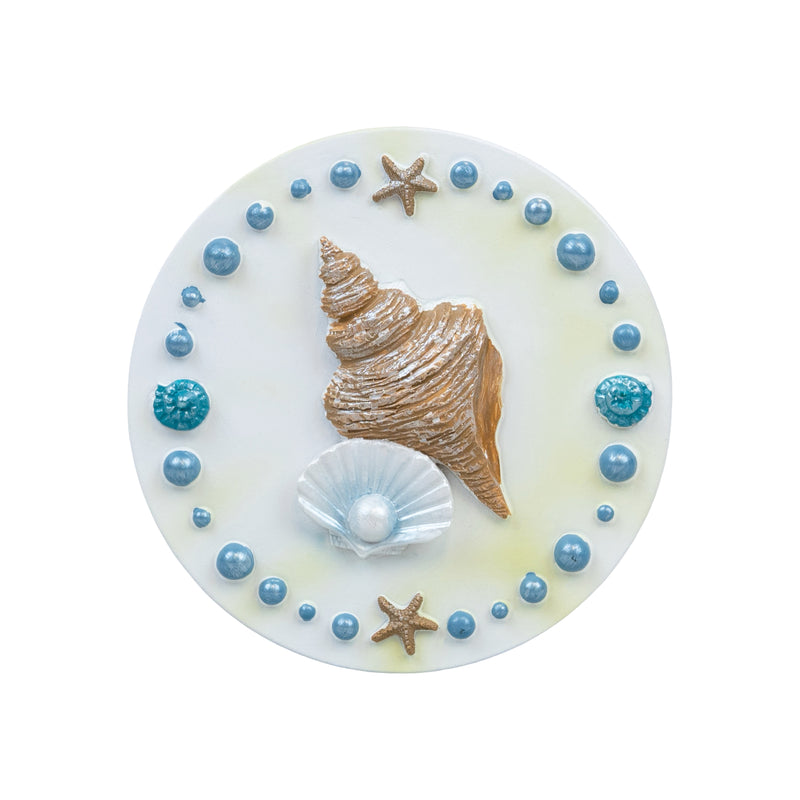 Seashell Glow