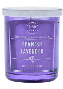 Spanish Lavender - Mini