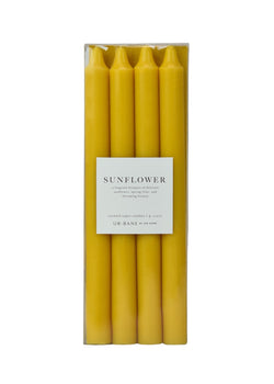 Sunflower | Taper 4-Pack