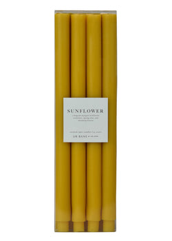 Sunflower | Taper 4-Pack