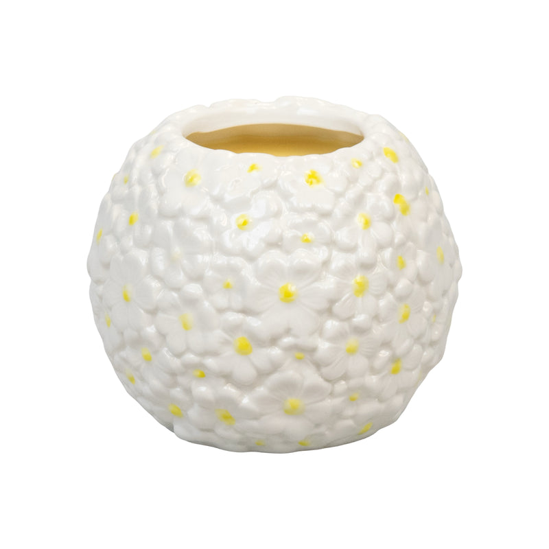 Sunshine Citrus | Ceramic