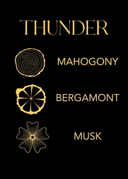 Thunder Infographic